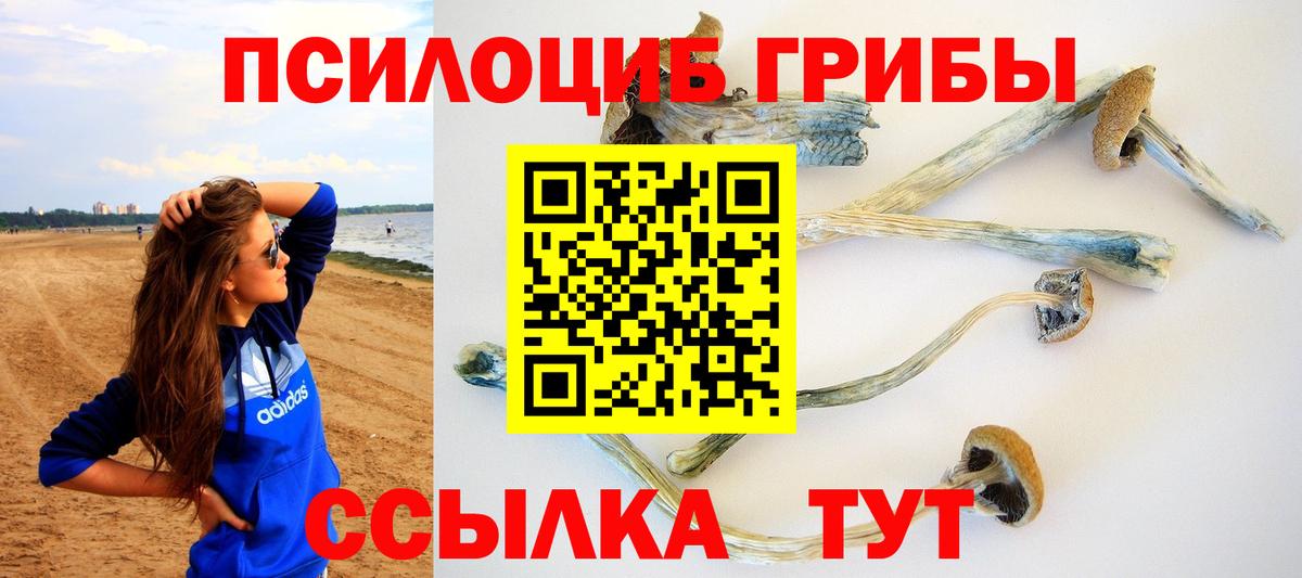 Галлюциногенные грибы мицелий  Вход с VPN  Галлюциногенные грибы Magic Shrooms  Чита 